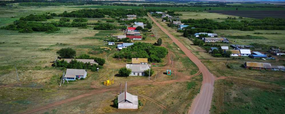 
            Фотография Камышевки