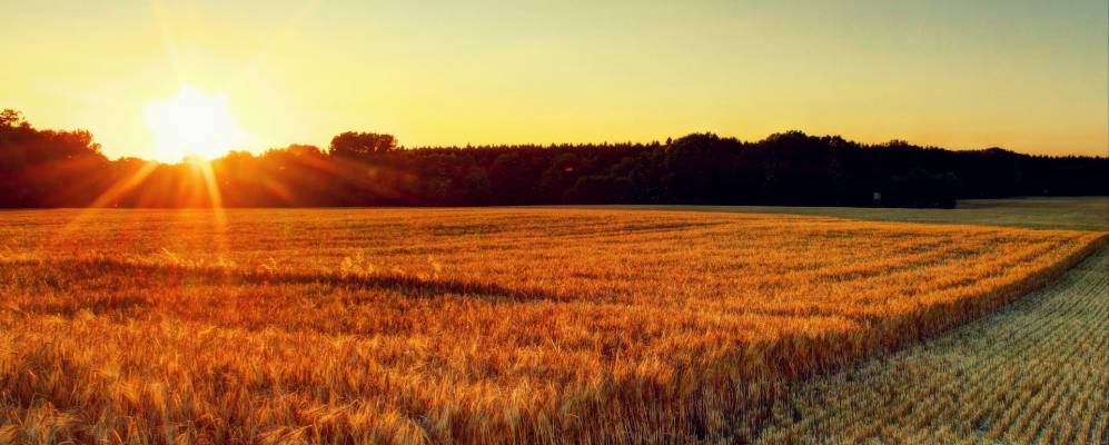 
            Фотография Шутка лейки