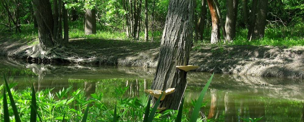 
            Фотография Гленвью