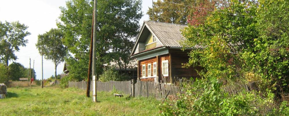 Фотография Шашино