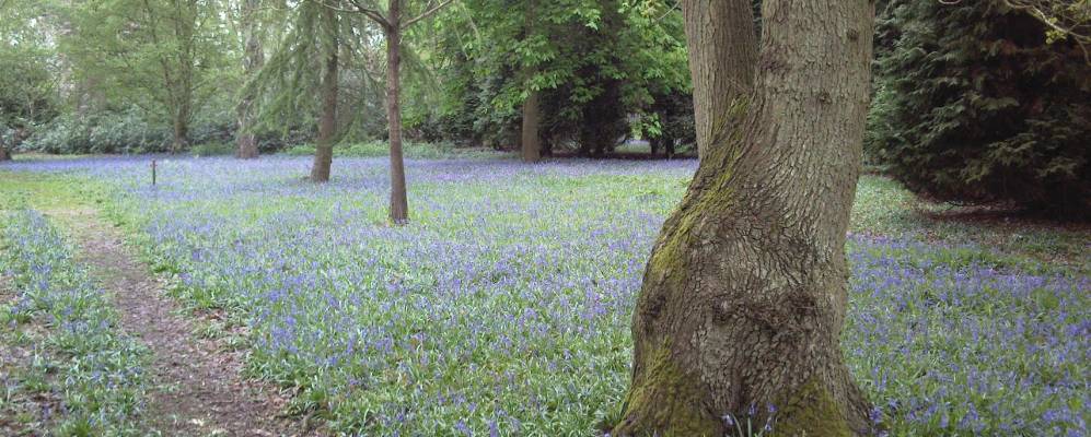 Фотография Элмсвелла