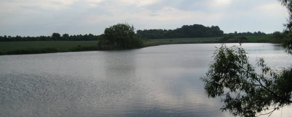 
            Фотография Побережного