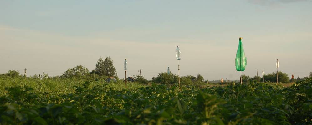 
            Фотография Лазарево