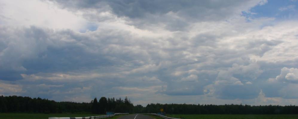 Фотография деревни Кривоносы