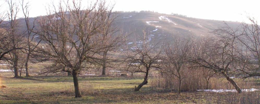 
            Фотография Днестровца