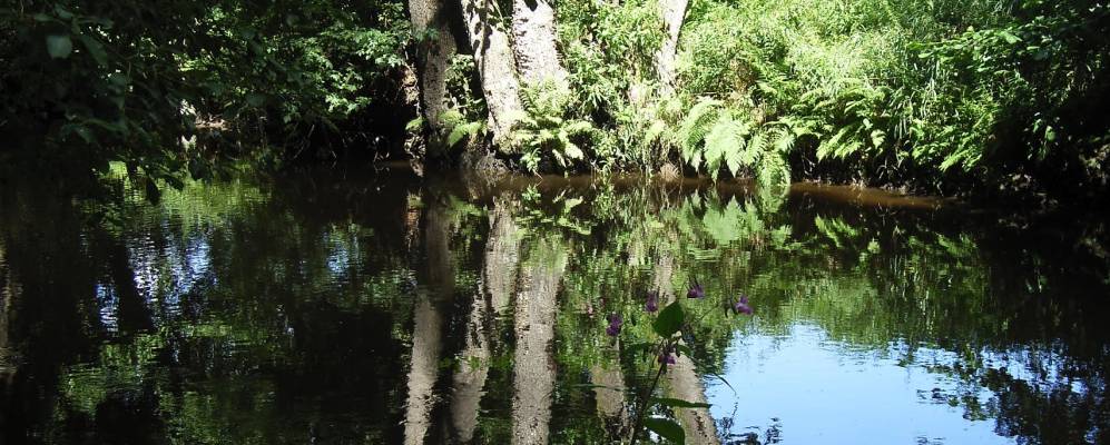 
            Фотография Хоенберга