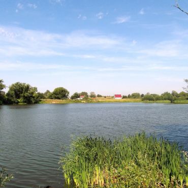 Остроухово