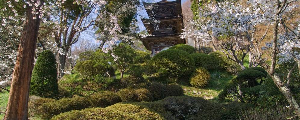 
            Фотография Аоки