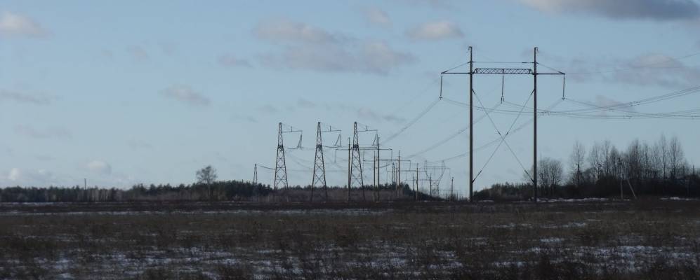 
            Фотография Хохловки