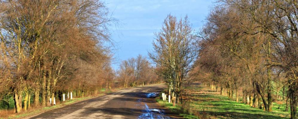 
            Фотография Полевого