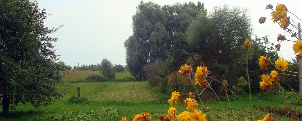 
            Фотография деревни Мамаи