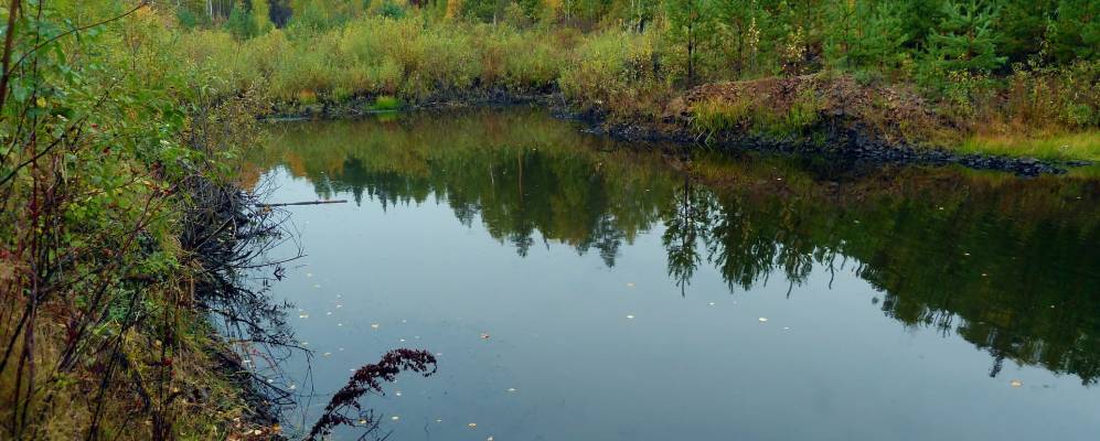 
            Фотография Смирнова