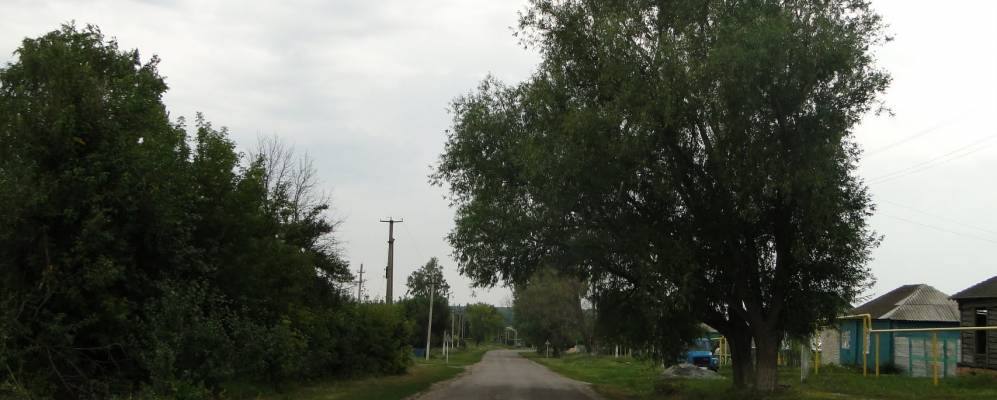 
            Фотография Оськино