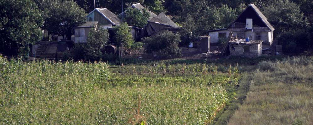 
            Фотография Воеводовки