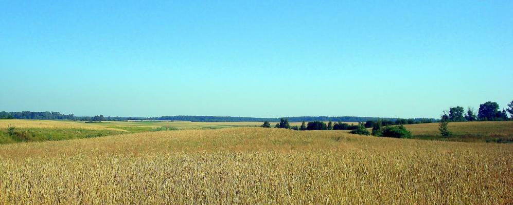 Фотография деревни Пометники