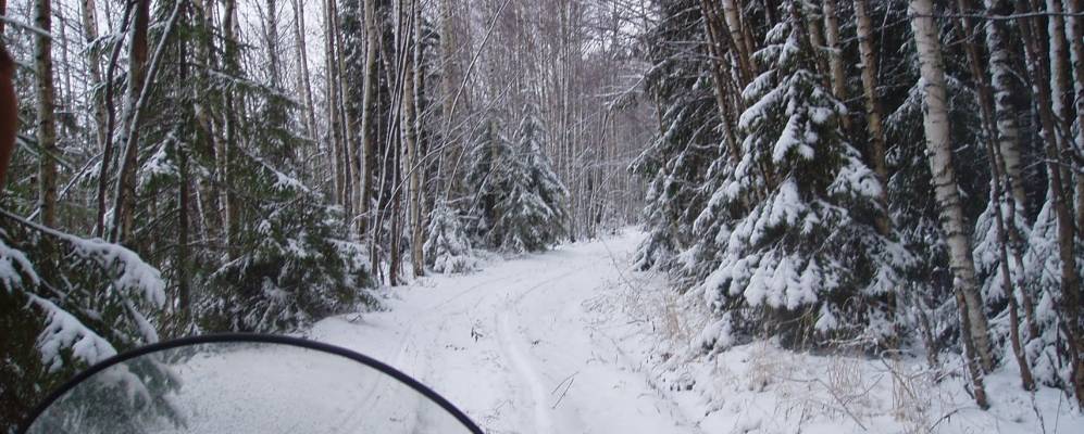 
            Фотография Заболотья
