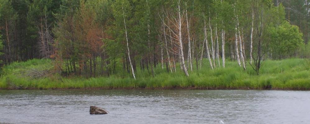 
            Фотография Едов