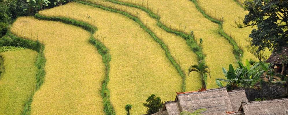 
            Фотография Бувит