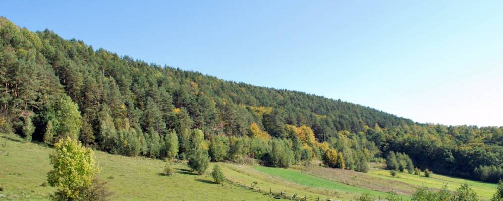 
            Фотография Желобы