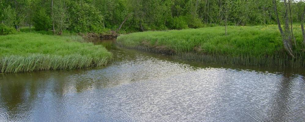 
            Фотография Афанасово