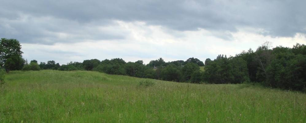 
            Фотография Барановщины