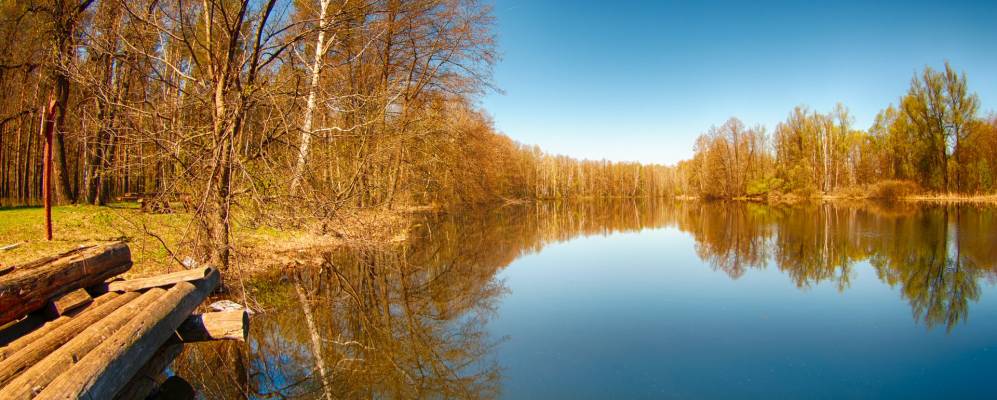 
            Фотография Паники