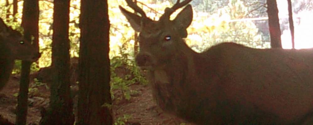 
            Фотография Лос Асуфреса