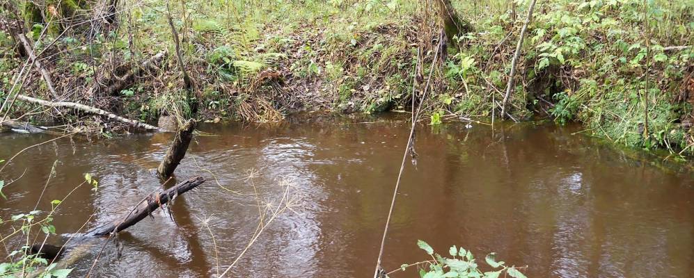 
            Фотография Степаньково