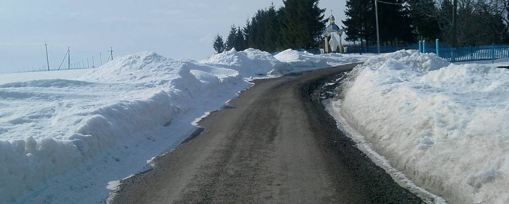 
            Фотография Пылявы