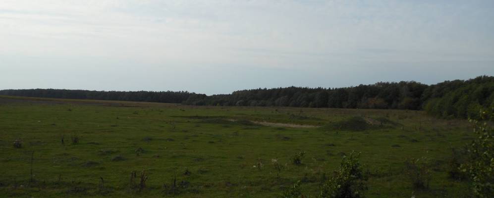 
            Фотография Забеловщины