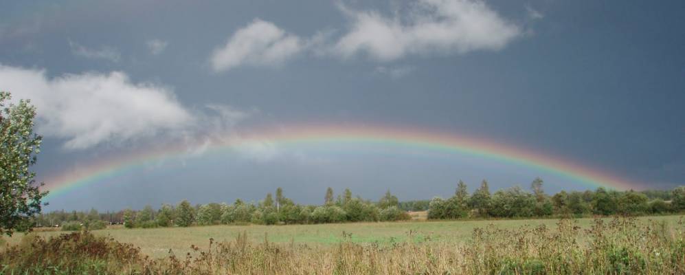 Фотография Собалеца