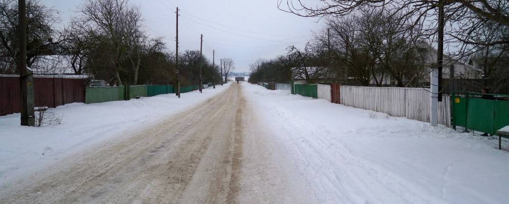 
            Фотография Шевченко