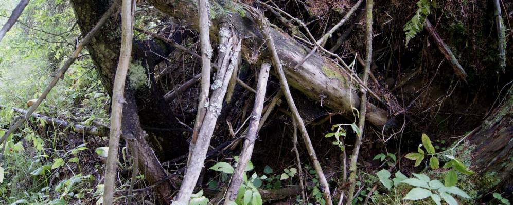 
            Фотография Махмура