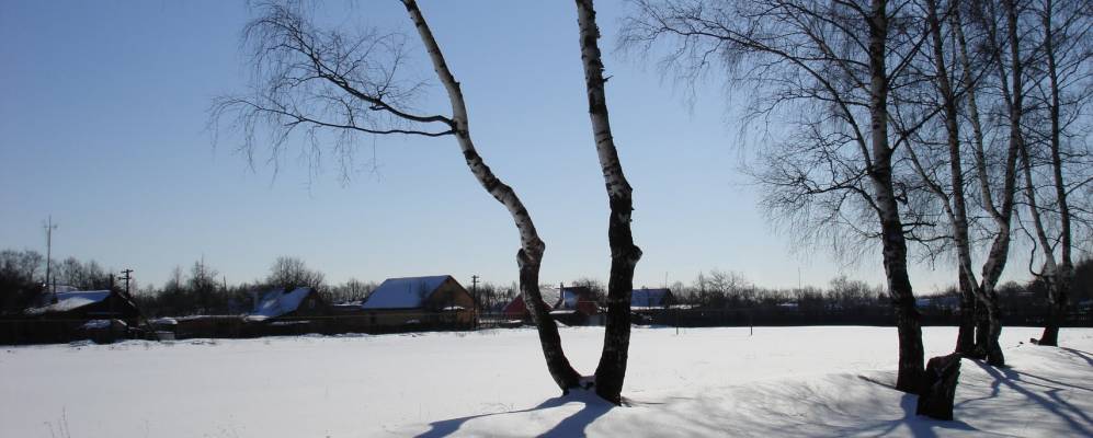 
            Фотография Левого Румянцево