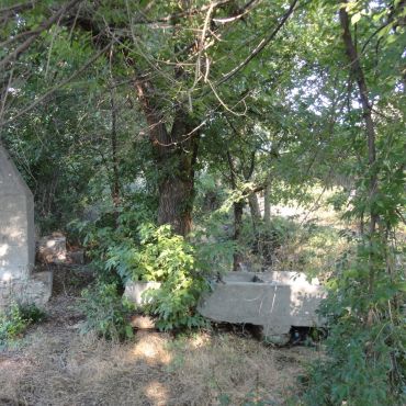 Татарбунары