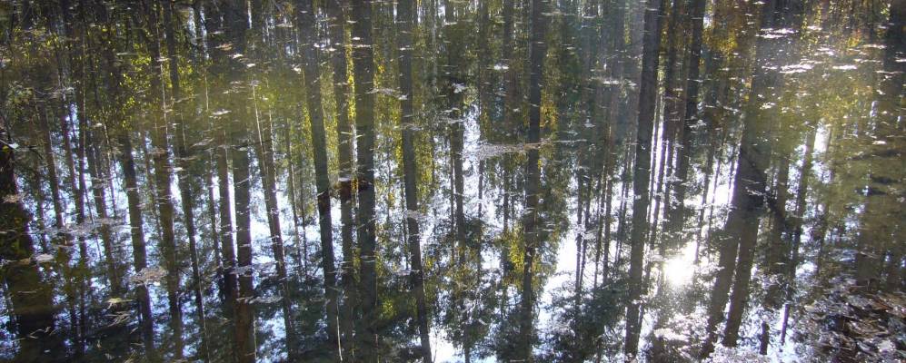 
            Фотография Школьного