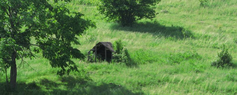 
            Фотография Тарасовки