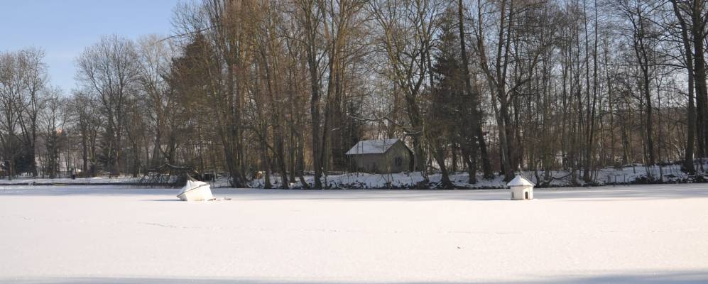 
            Фотография Апольды