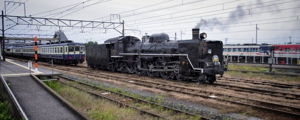 
            Фотография Ниицу