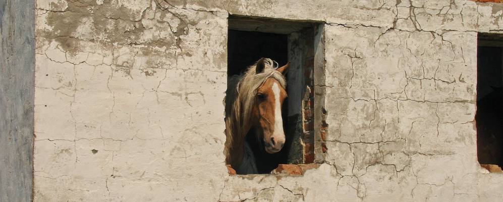 
            Фотография Орловского