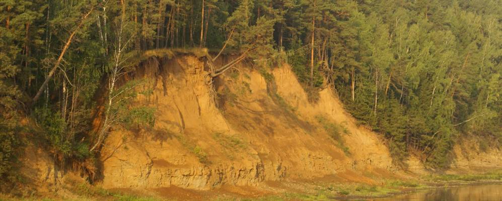 
            Фотография Чекарды