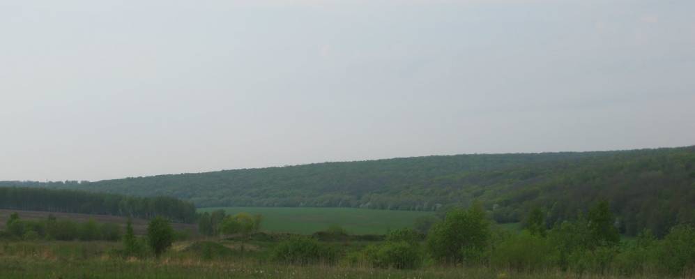 Фотография Дубровки