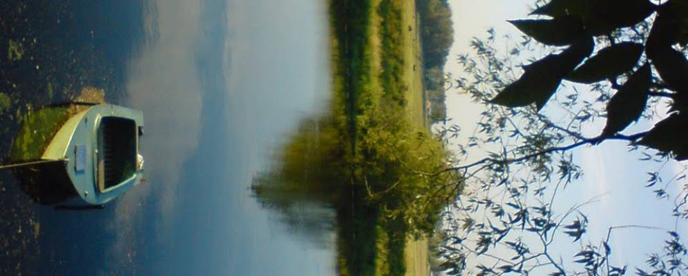 
            Фотография Петрово-Городища