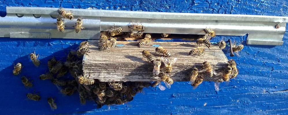 Фотография Красного Крыма