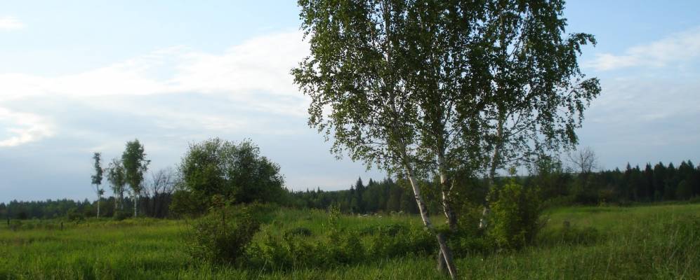 
            Фотография Отрадного