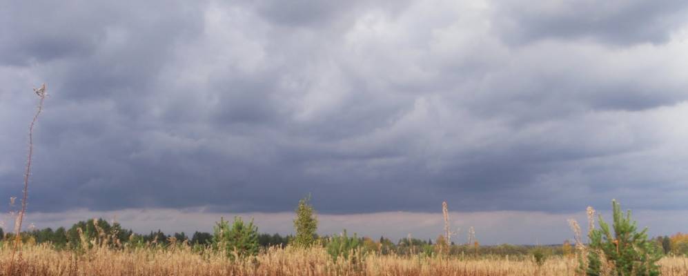 
            Фотография Сямбы