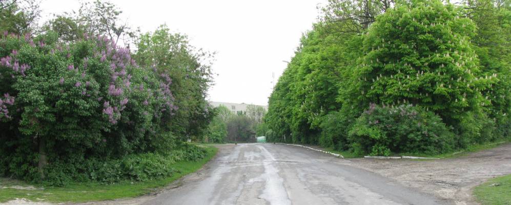 
            Фотография Поддубного