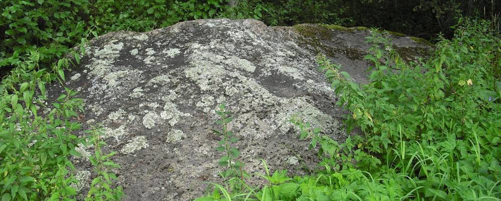 Фотография Васнево