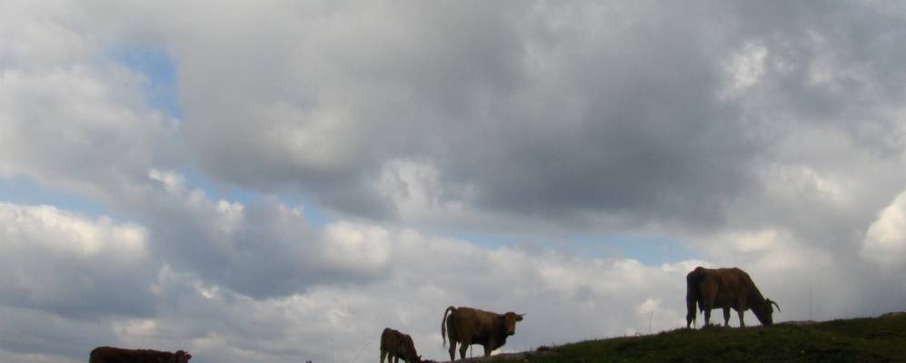 
            Фотография Оренья