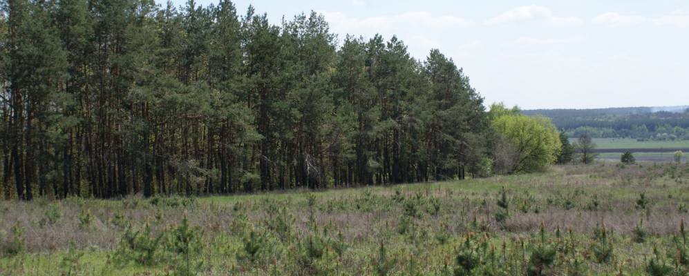 
            Фотография Ферма